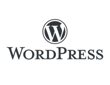 wordpress en agencia marketing digital