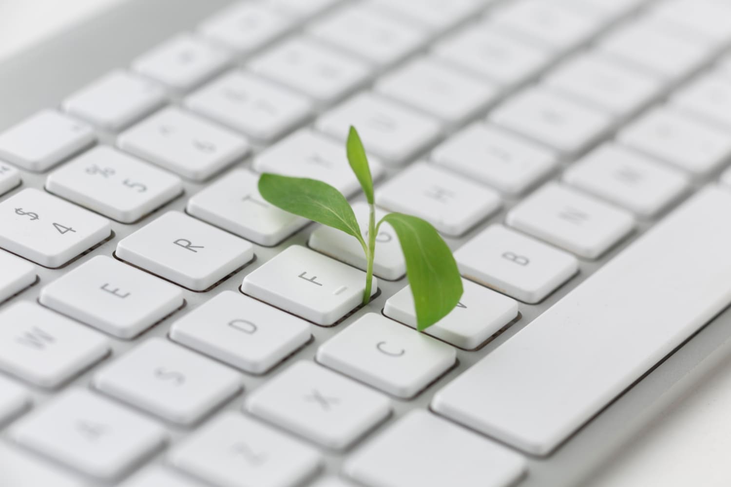 ¿Qué es el marketing verde?